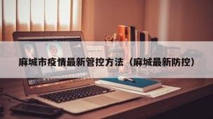 麻城疫情最新动态全解析
