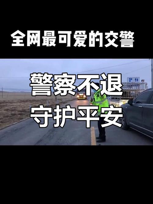 最新，疫情下警察力量守护安全数据揭秘
