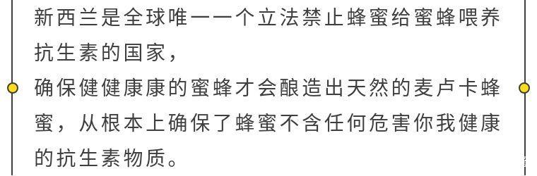 美国德州蜜蜂县疫情最新数据大揭秘