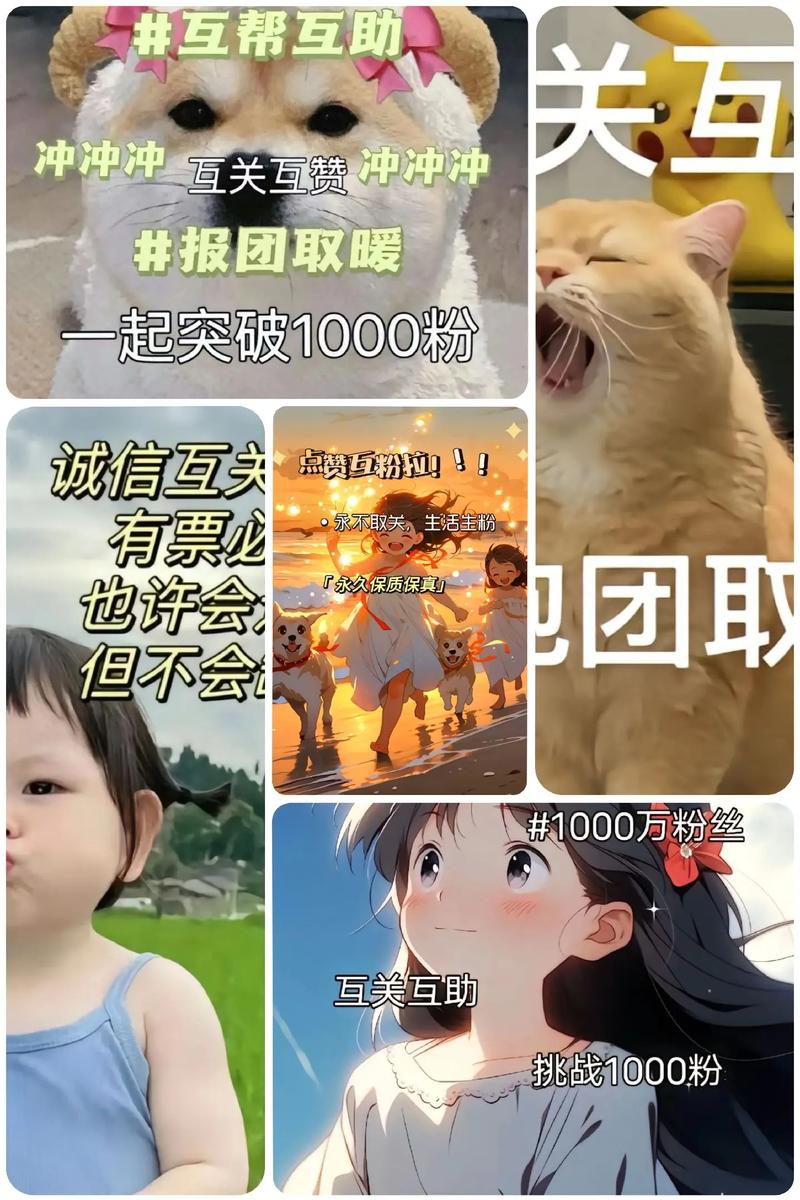 抖音1000粉丝-抖音低价粉丝下单