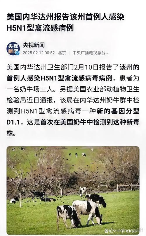 美国疫情数据隐身，最新真相揭秘