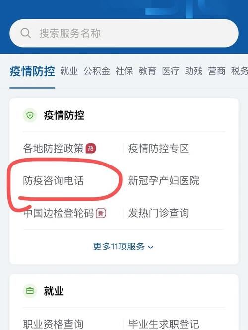 全国疫情数据查询，轻松掌握最新动态
