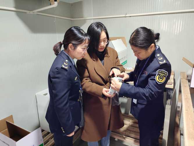 海口疫情数据最新动态追踪