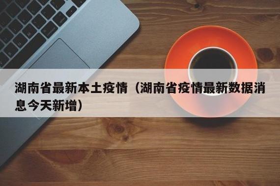 湖南疫情最新动态全览