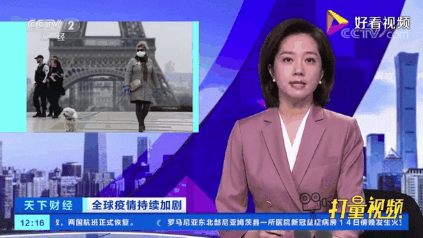 最新法国疫情数据网站推荐
