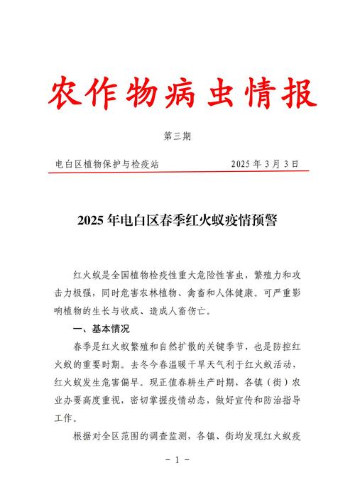 五河疫情最新通报全解析
