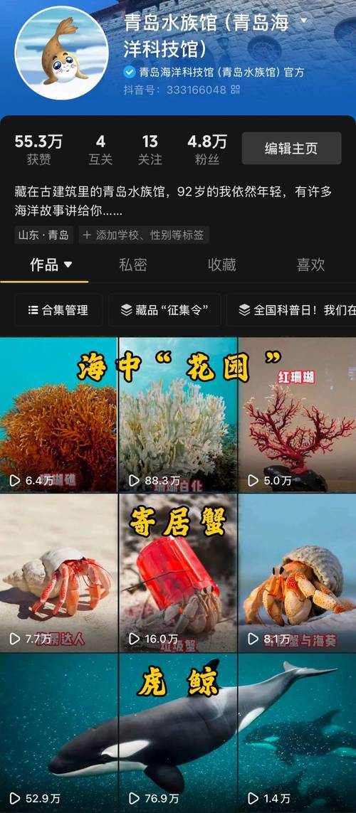 抖音点赞业务24小时平台-抖音热门业务点赞评论
