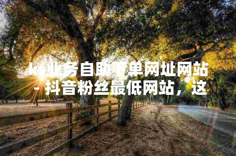 抖音粉丝业务商城-快手粉丝自助业务下单网站