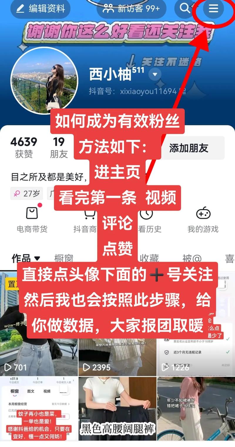 揭秘抖音粉丝业务网站，如何安全高效地玩转粉丝增长？