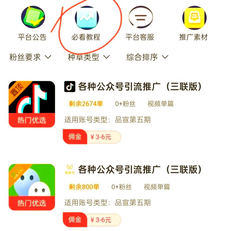 抖音粉丝自助业务下单网站，解锁流量密码的新利器
