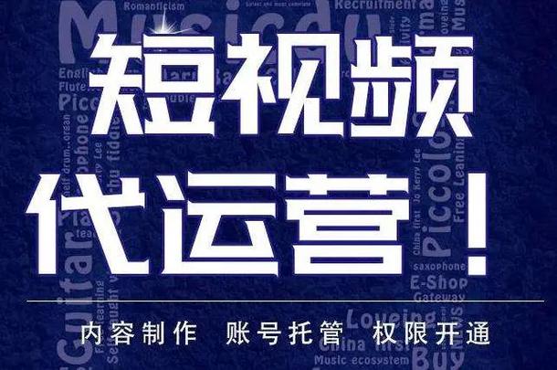 全网最便宜的抖音业务，开启您的短视频盈利之旅