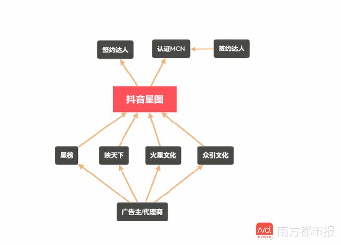 揭秘抖音24小时粉丝下单平台，真实体验与背后逻辑