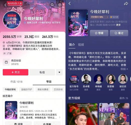 抖音点赞新纪录，单日78单成就引爆社交营销新热潮