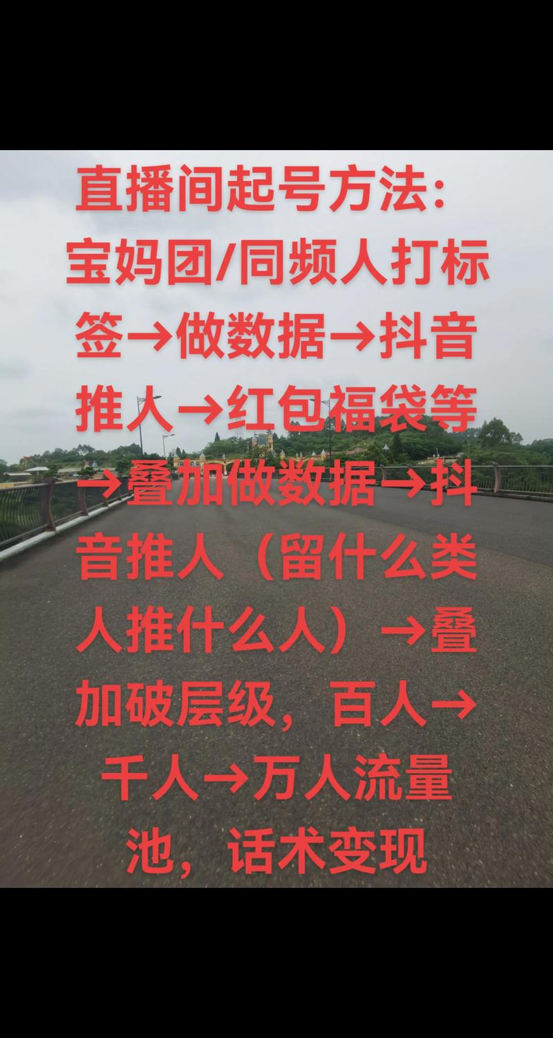 抖音点赞下单平台在线服务兴起，助力创作者流量变现新路径