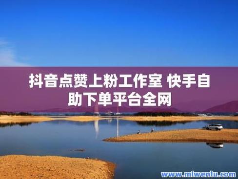 抖音赞业务崛起，数字时代下的流量新引擎与市场新生态
