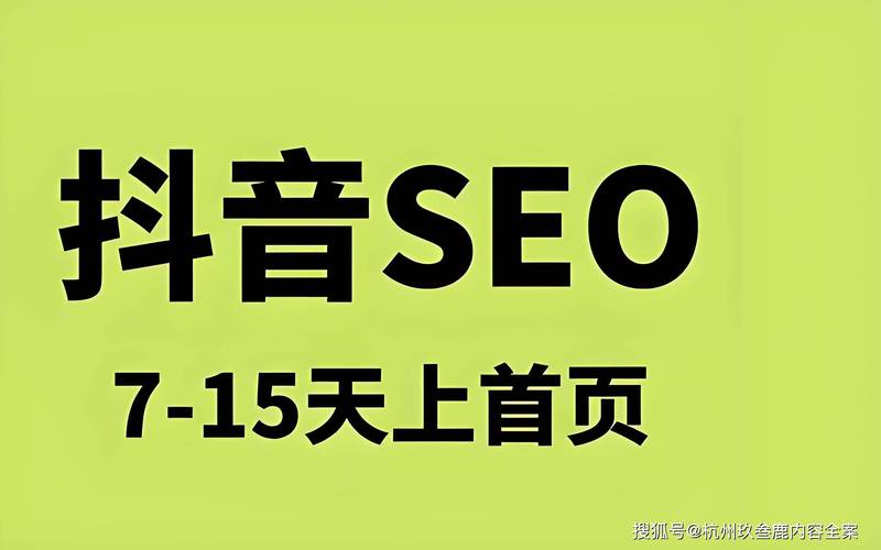 抖音粉丝服务新突破，24小时高效接单模式引领行业新风尚