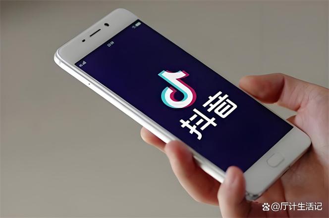 抖音粉丝下单平台崛起，赋能创作者，开启流量变现新纪元