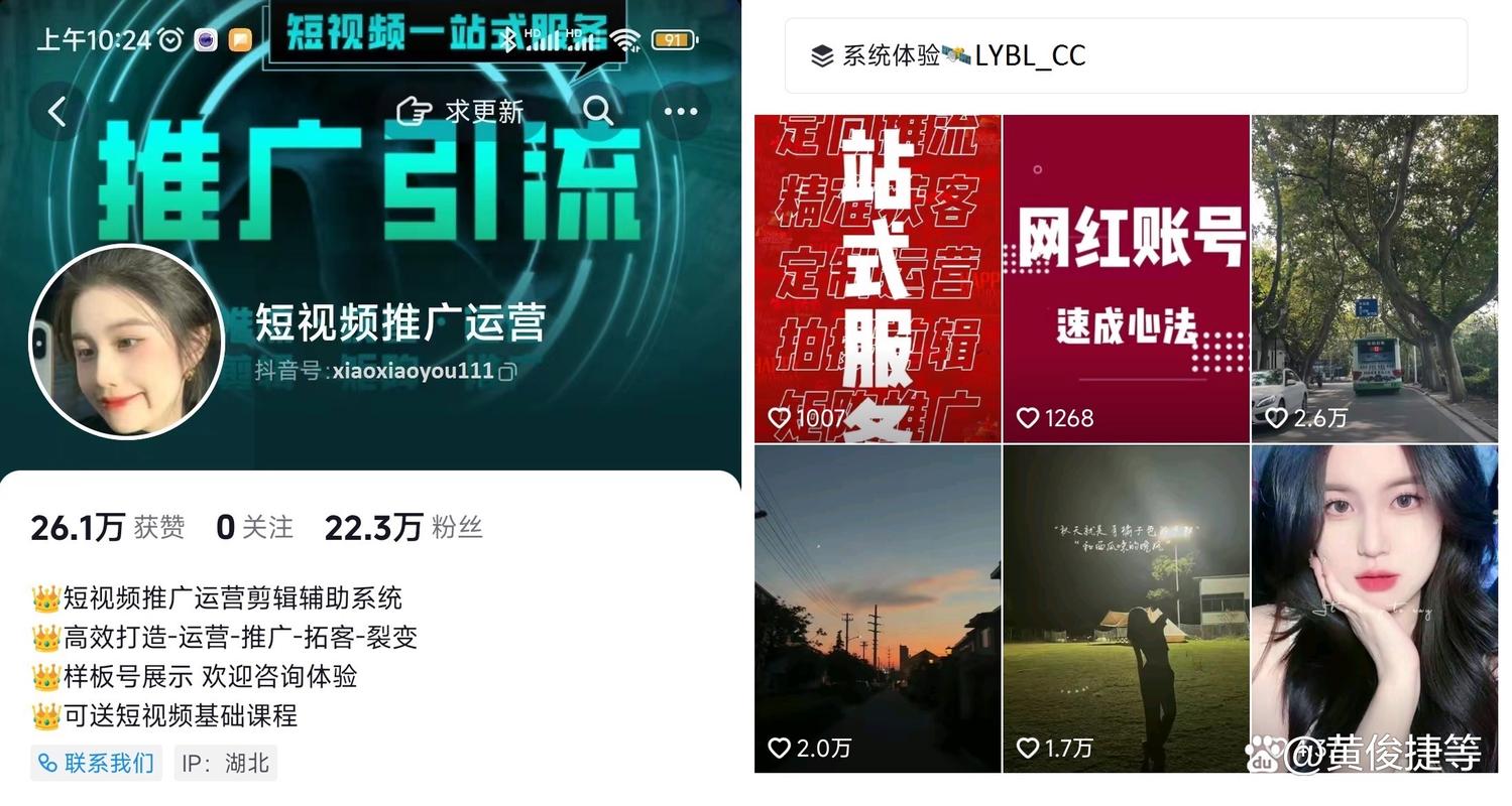 抖音双击点赞业务网崛起，重塑社交互动新生态