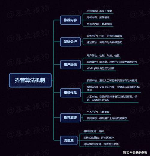 抖音作品上热门秘籍大公开，内容创新与算法策略双驱动