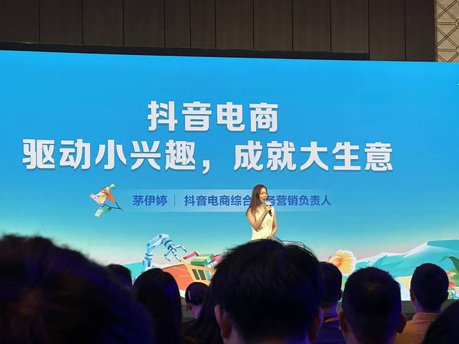 抖音粉丝网崛起，构建粉丝经济新生态，引领社交营销新风尚