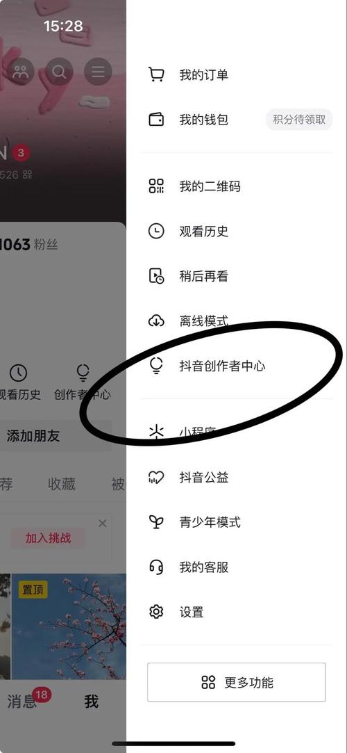 抖音增粉秘籍大公开，高效策略助你快速突破粉丝瓶颈