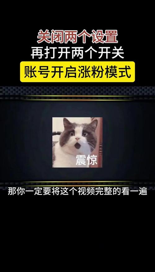 抖音快速涨粉秘籍大公开，解锁流量密码，成就爆款账号