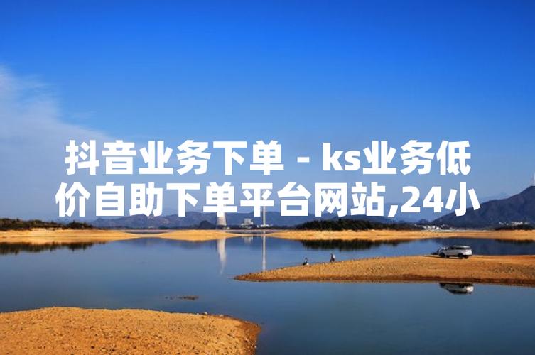 抖音业务低价自助平台崛起，超低价0.3元服务引爆市场