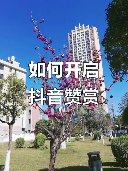 深度解析，什么是抖音点赞？揭秘短视频互动新生态