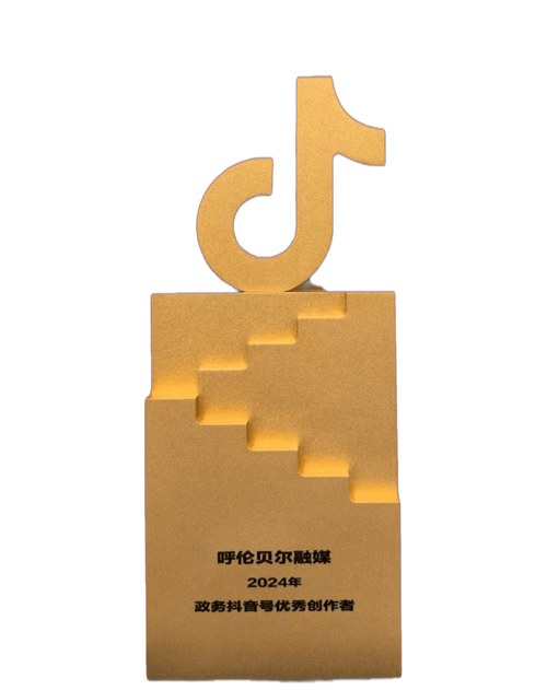 抖音点赞业务24小时高效运转，助力创作者快速提升影响力