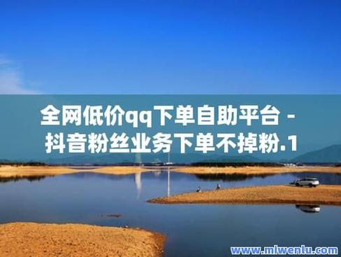 全网最低自助下单平台震撼上线，引领行业服务新标杆