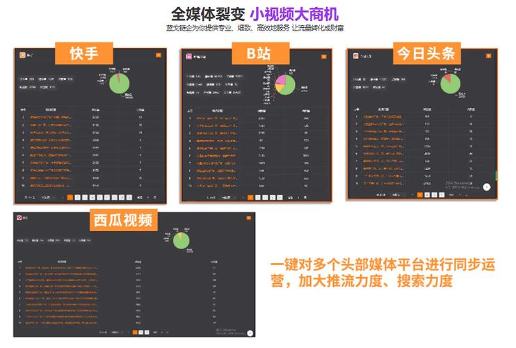 抖音24小时自助下单平台网站，低价高效，开启短视频营销新篇章