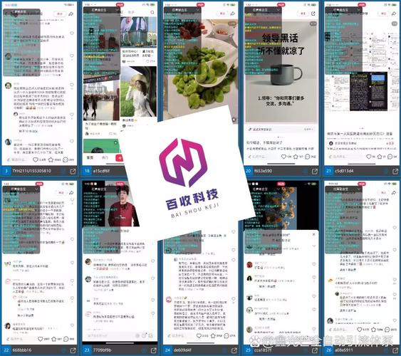 网红自助下单平台崛起，重构流量生态，赋能品牌营销新范式