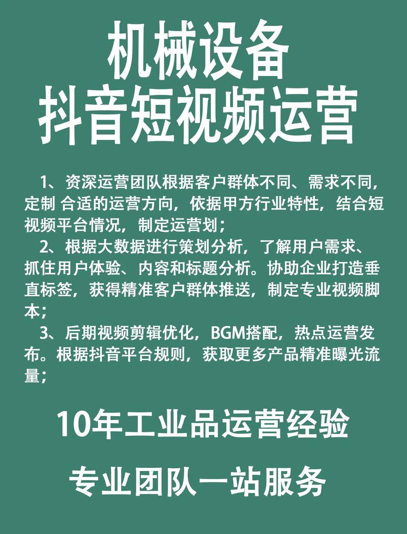 抖音播放量网站崛起，数据服务新生态助力创作者精准运营