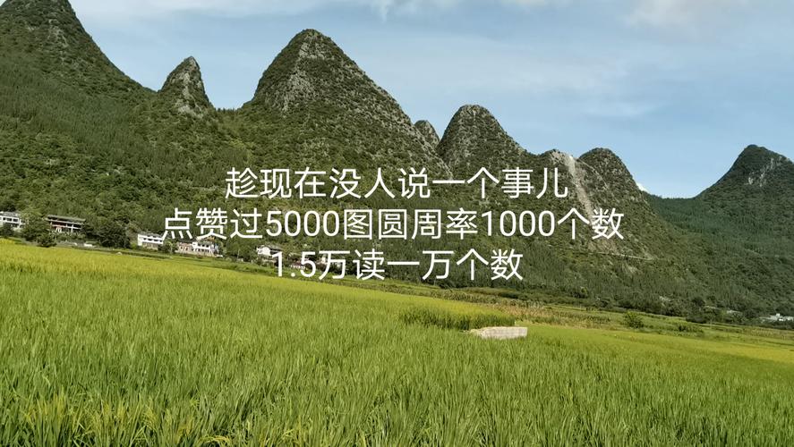 1元涨1000点赞网站低价服务引热议，行业规范亟待完善