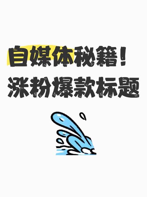 涨粉自助平台创新模式，助力自媒体人实现高效精准涨粉
