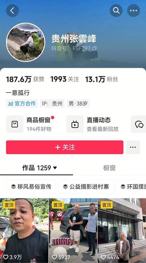 抖音粉丝业务新突破，24小时在线自助平台100赞服务上线