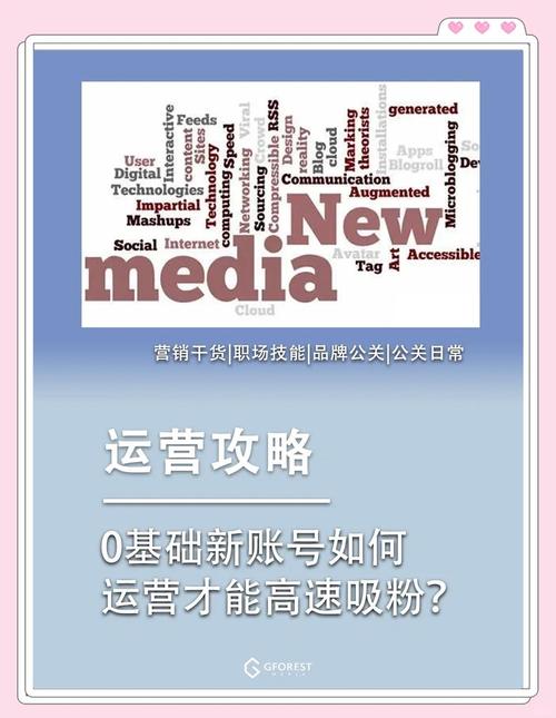 深度揭秘，低价涨粉平台如何重塑社交媒体营销新格局