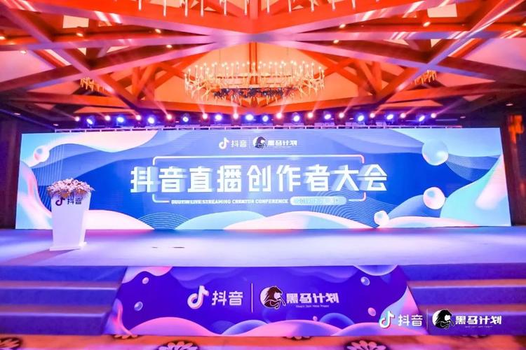 抖音点赞业务24小时平台上线，全天候服务助力创作者流量突围
