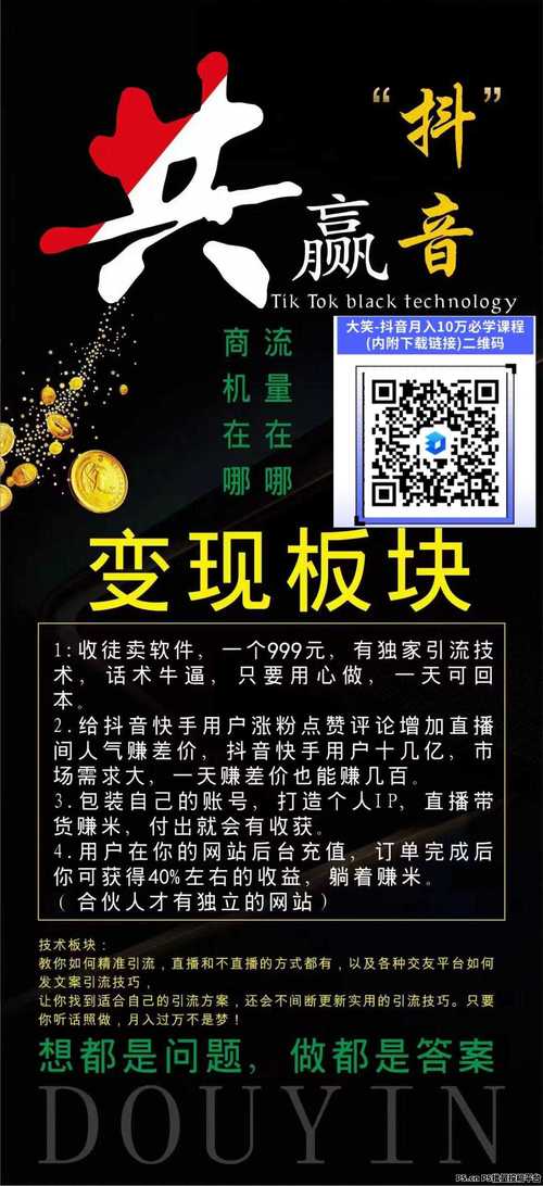 抖音粉丝变现新风口，专业平台助力用户通过粉丝经济高效赚钱