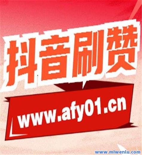 自助抖音下单平台全网最低价来袭，引领行业新风尚