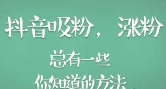 抖音活粉市场价格揭秘，一个活粉究竟价值几何？