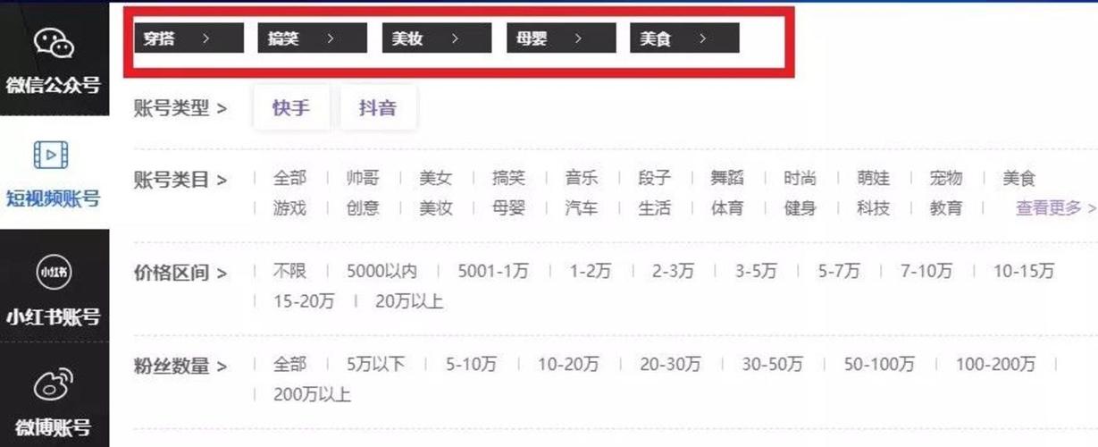 深度揭秘，低价抖音粉丝平台如何助力账号快速崛起？